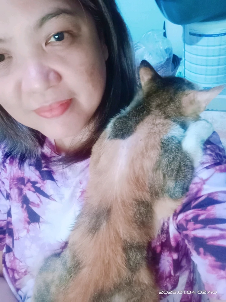 GIF uploaded by 💜J💜o💜e💜y💜