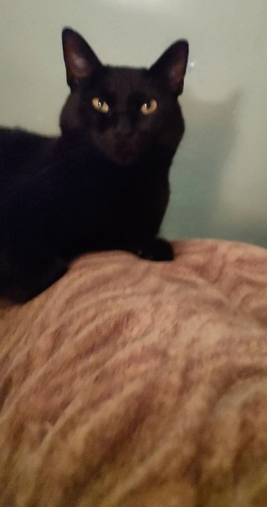 Imagen subida por Yara Fierro