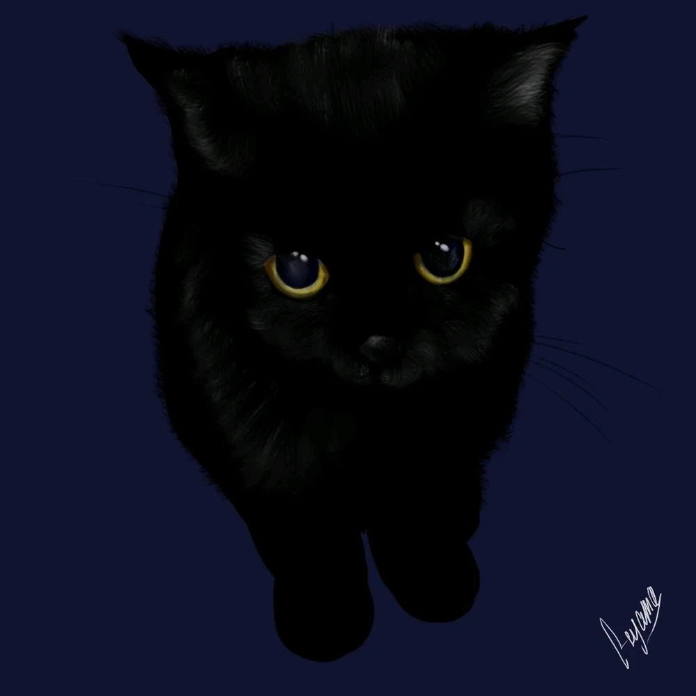 GIF загрузил Asyama