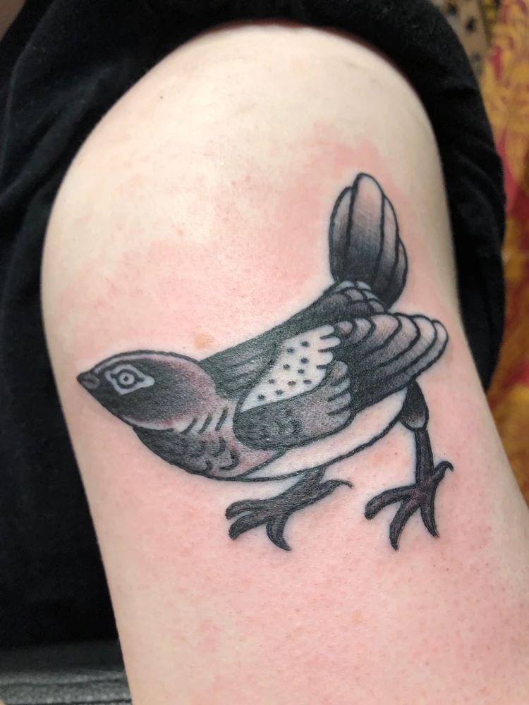Image uploaded by Kori