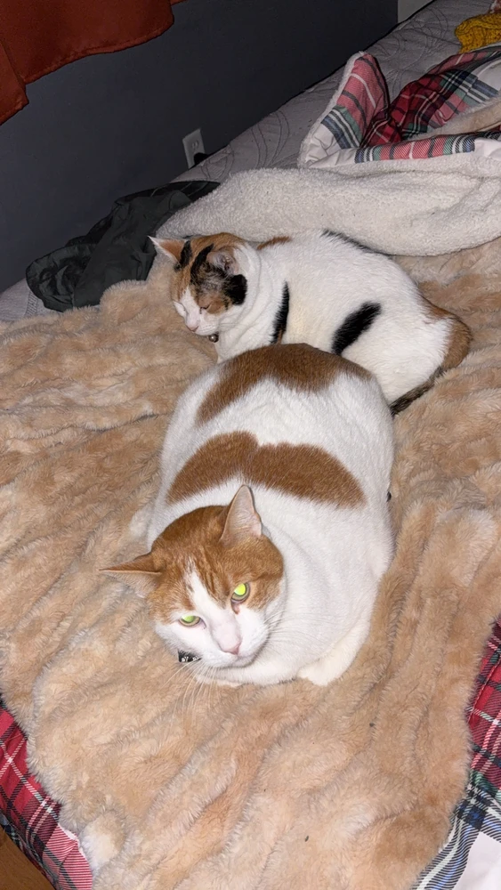 GIF uploaded by Morgan