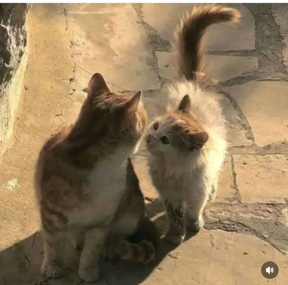 GIF uploaded by Akashdeep Gupta