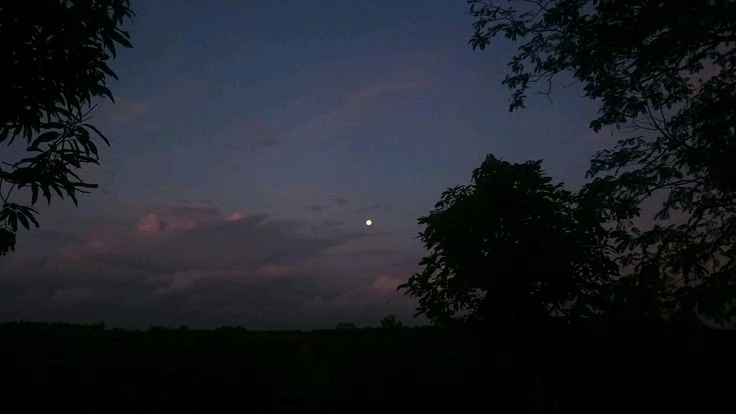 GIF загрузил Yuvi1skd