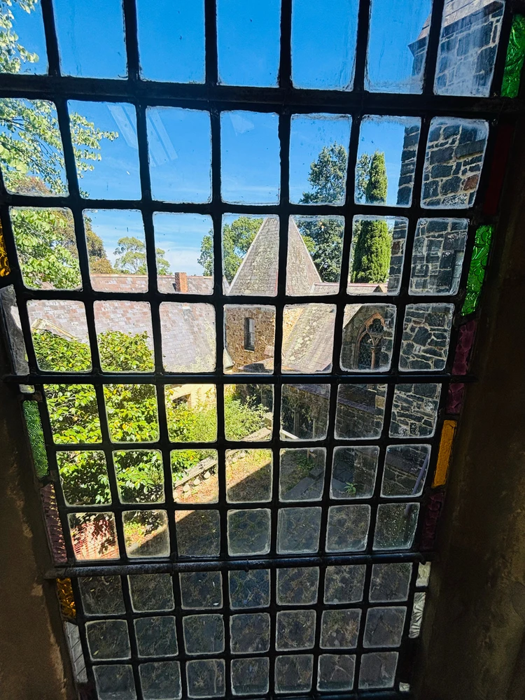 Image uploaded by Ember