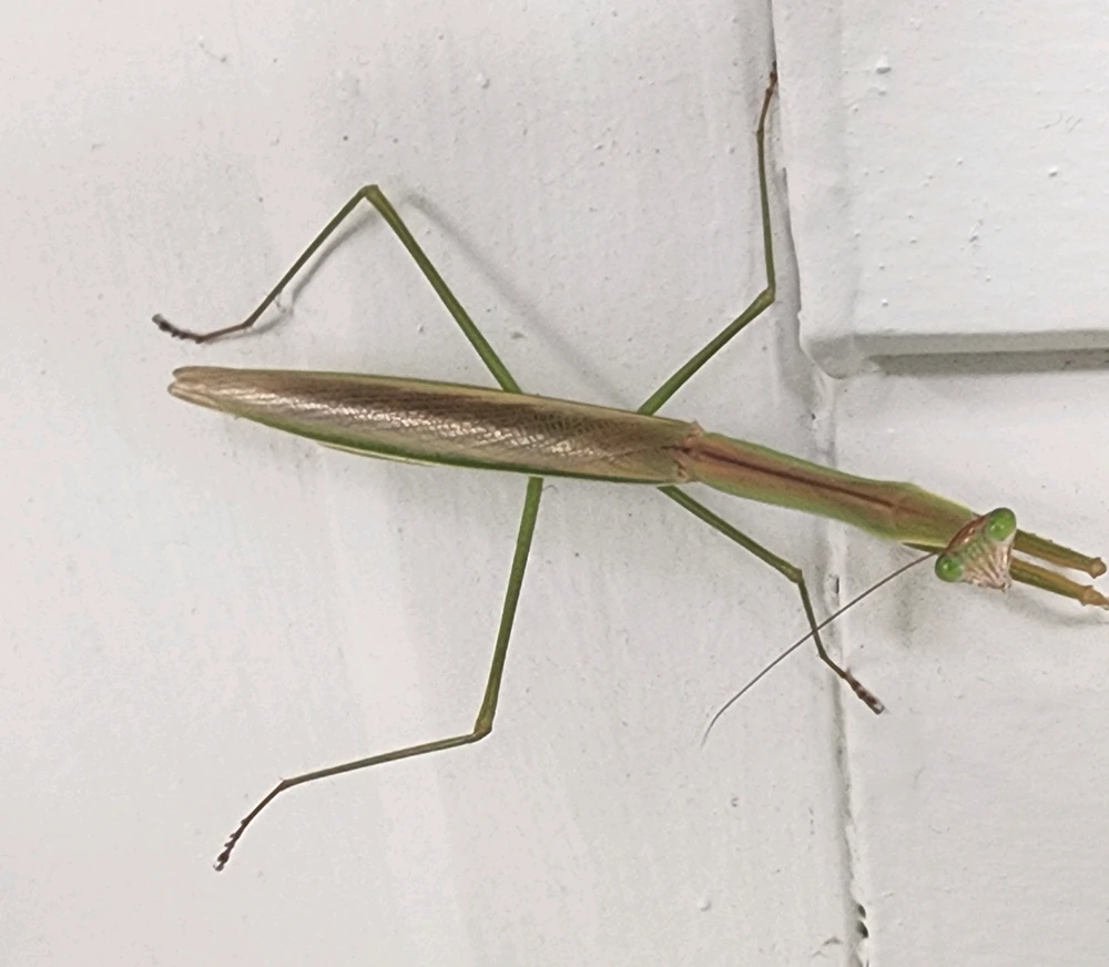 GIF diunggah dening ♡ Câz ♡