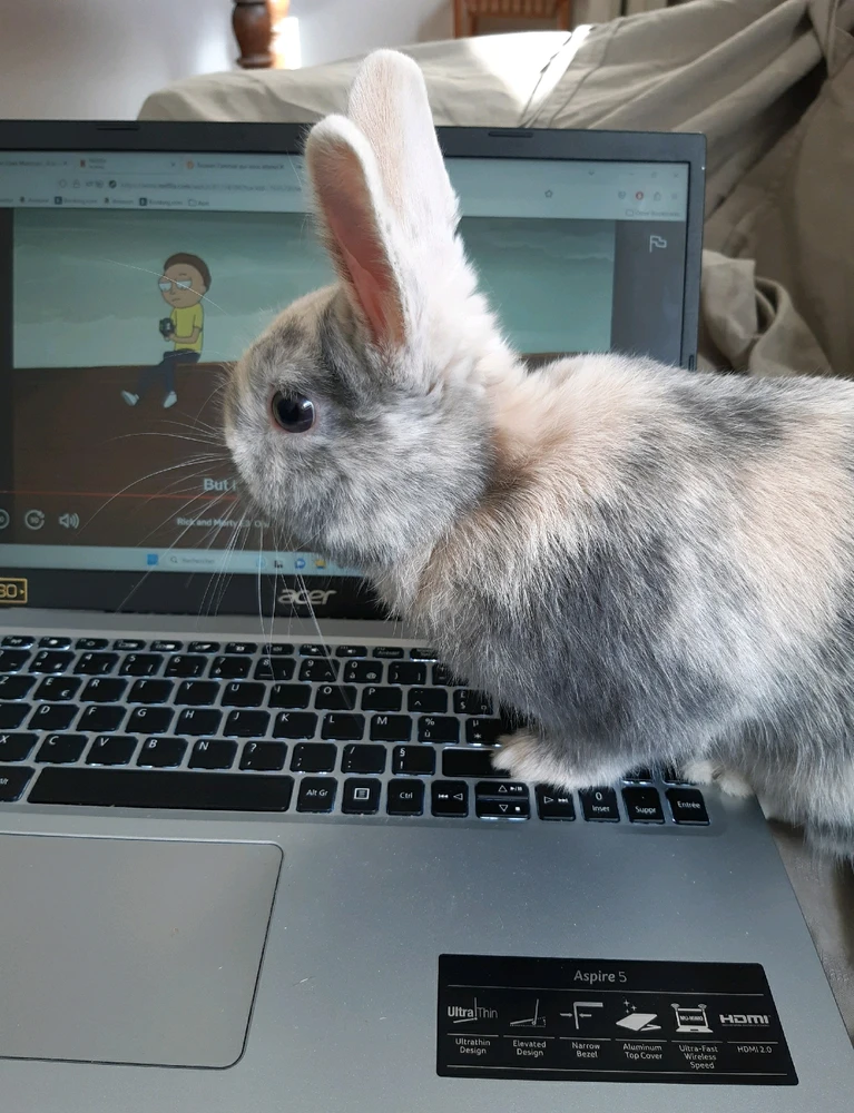 GIF ajouté par Louise