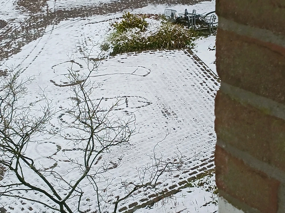 Die Teenie-Nachbarn in Action