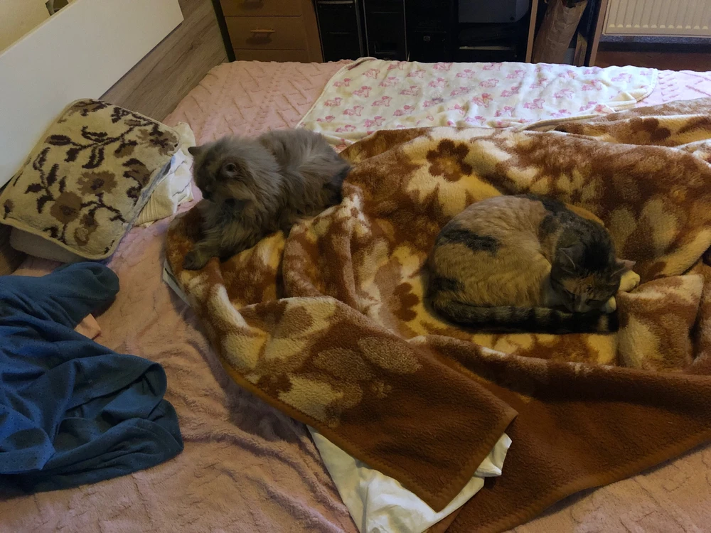 Sliko je naložil Mirko