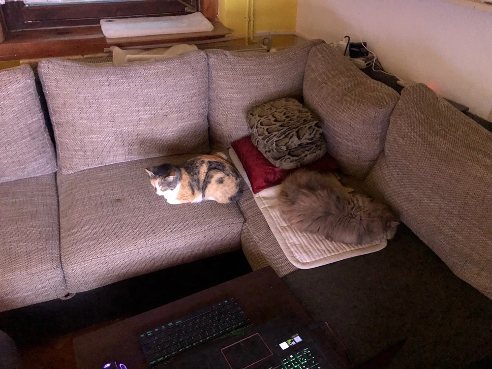 Sliko je naložil Mirko