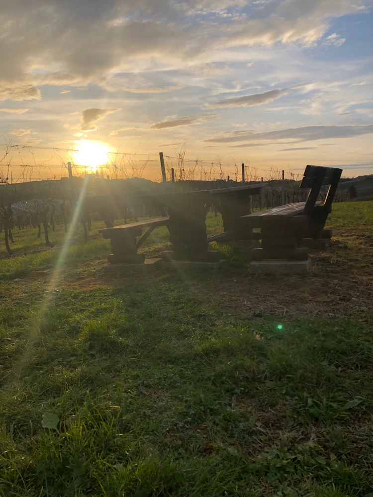 Si za sprehod po okolici, rada opazuješ sončni zahod?