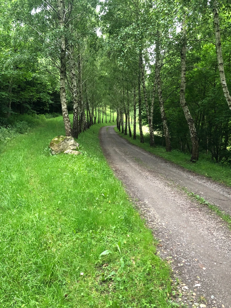 Si za sprehod po okolici, rada opazuješ sončni zahod?