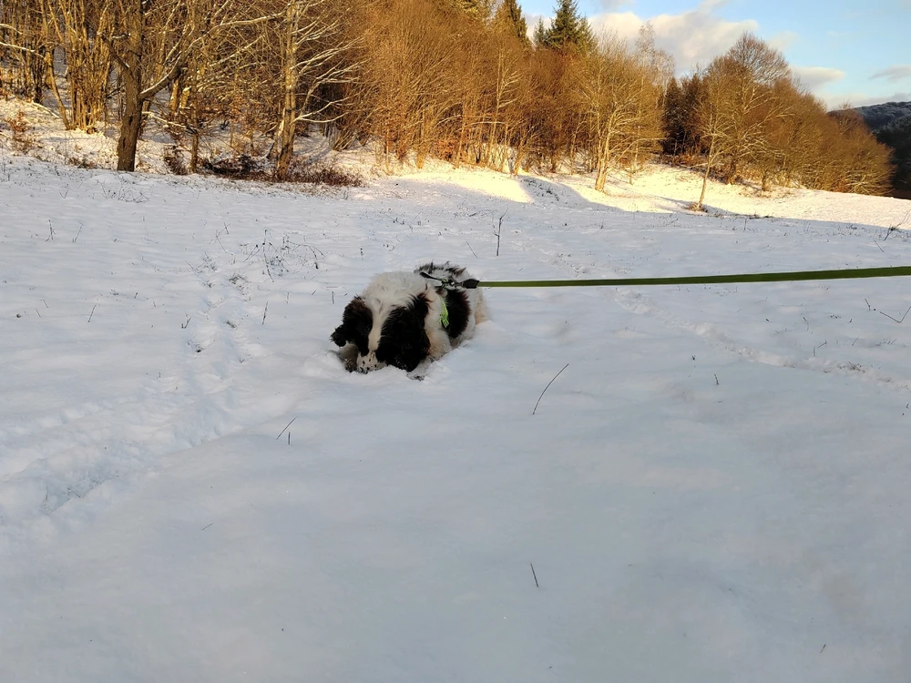 Fotku nahral/-a Michal