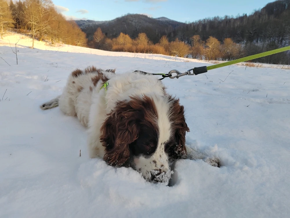 Fotku nahral/-a Michal