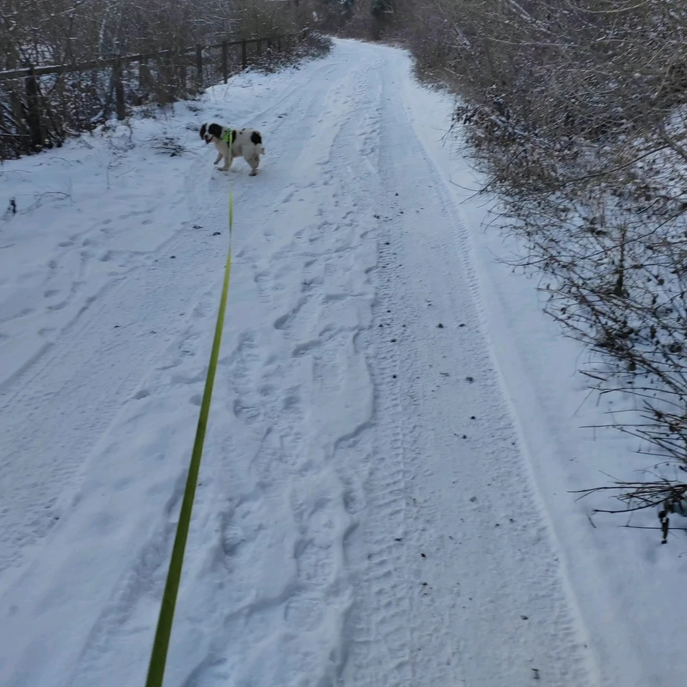 Fotku nahral/-a Michal