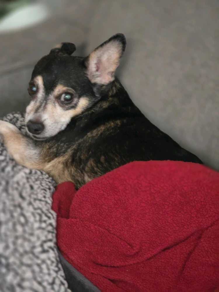 GIF uploaded by Ashley