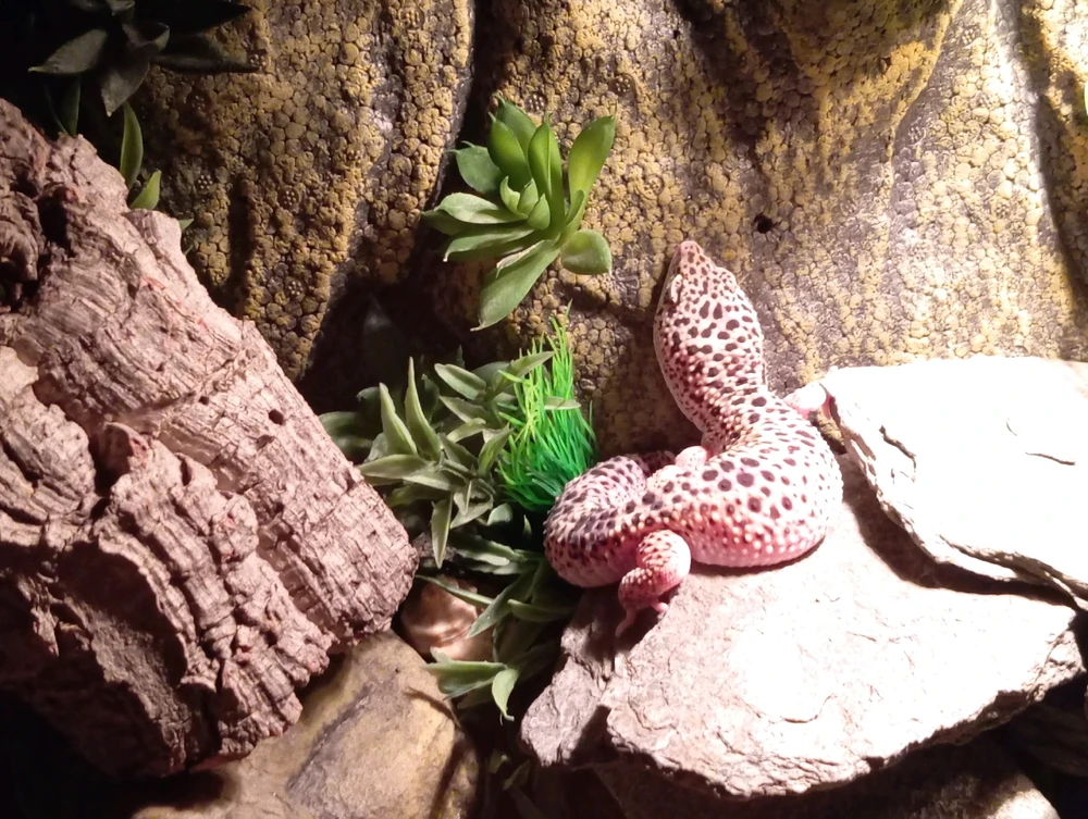 GIF hochgeladen von Danica_NightDream