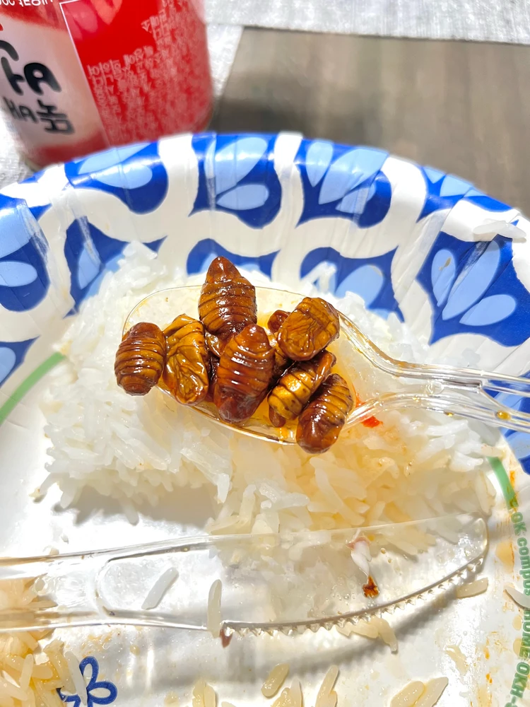 Louis上传的GIF