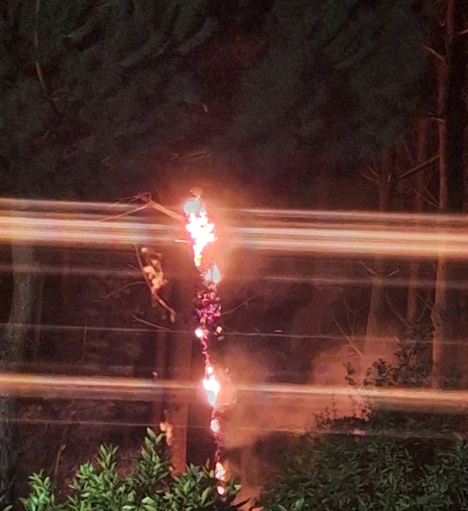 Imagem enviada por Sérgio Filipe