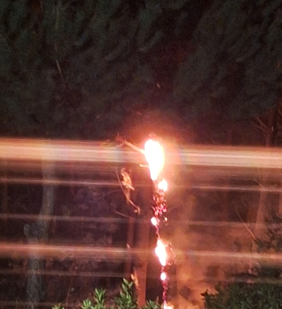 Imagem enviada por Sérgio Filipe