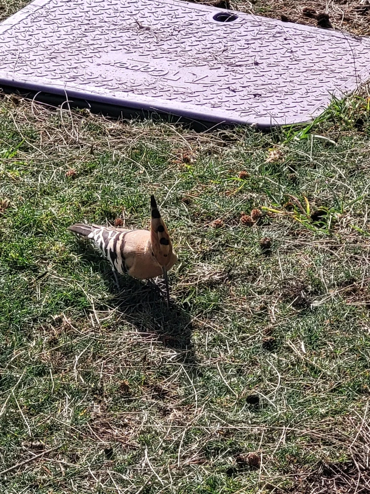 Bild uppladdad av Keyur Vithlani