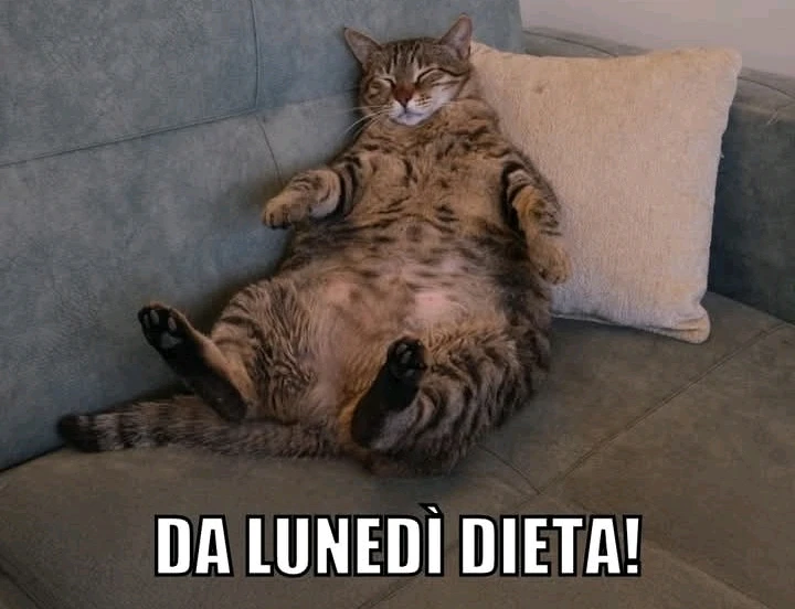 GIF caricata da LunaStorta
