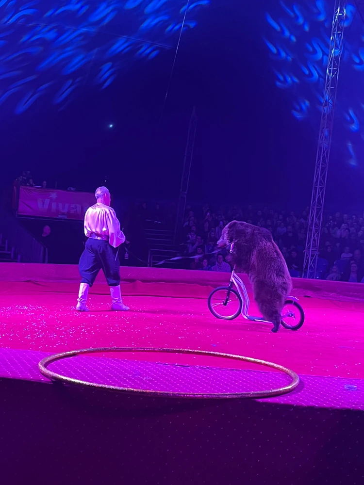 GIF uploaded by Creer