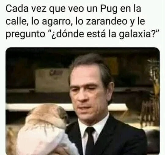 GIF subido por Bastian