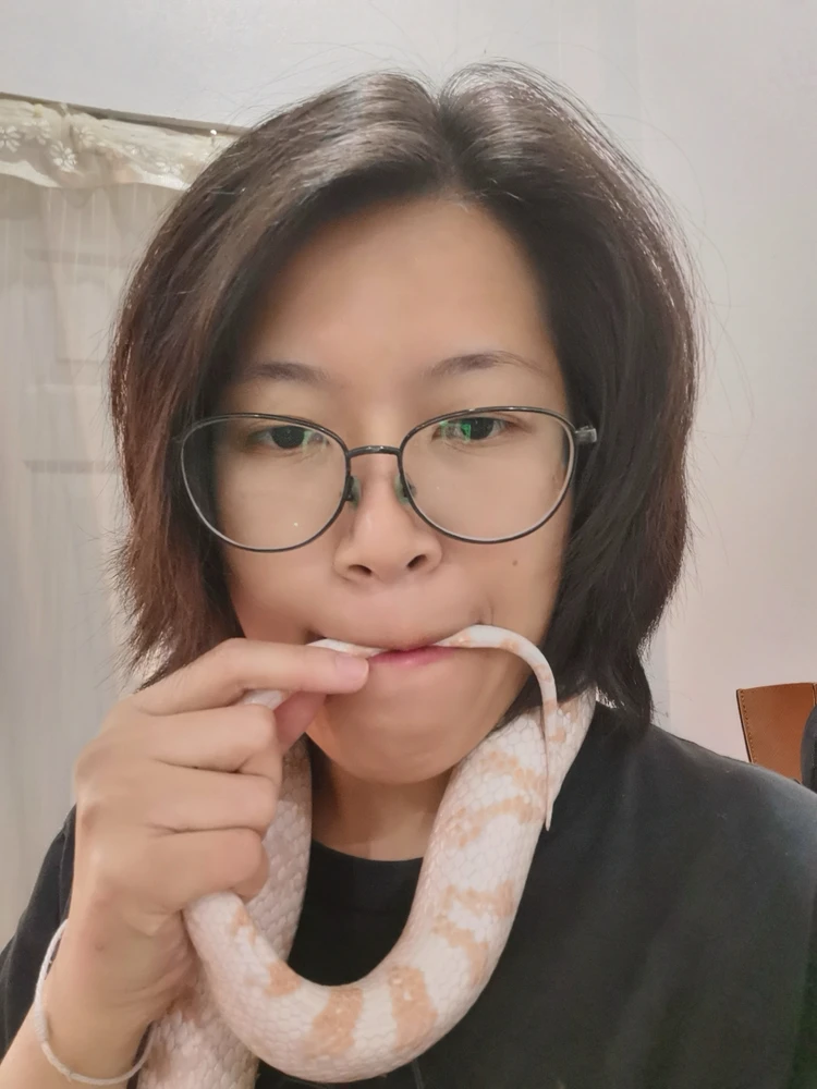 GIF อัปโหลดโดย Pemika