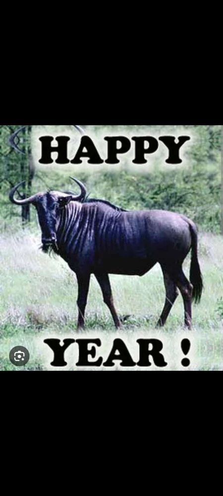 GIF diunggah dening Ray