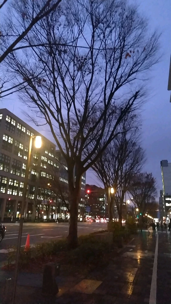 むーまるがアップロードしたGIF