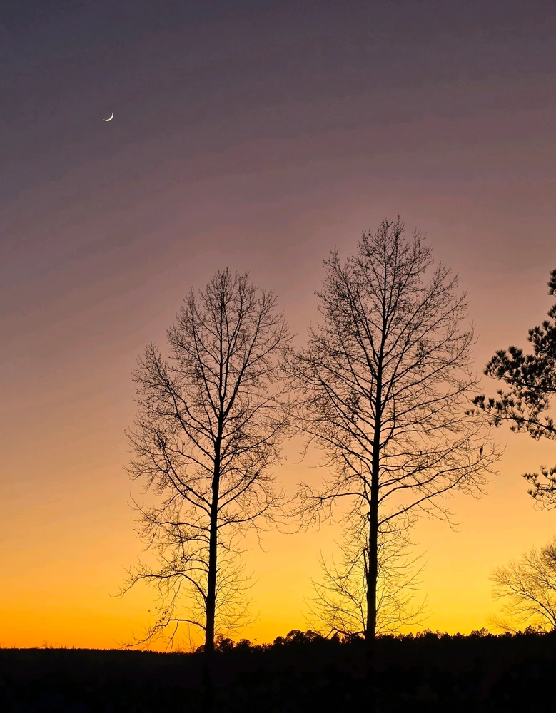 GIF uploaded by Catherine