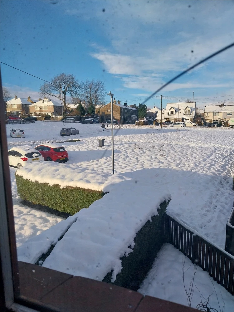 Image uploaded by Aiden Hardy
