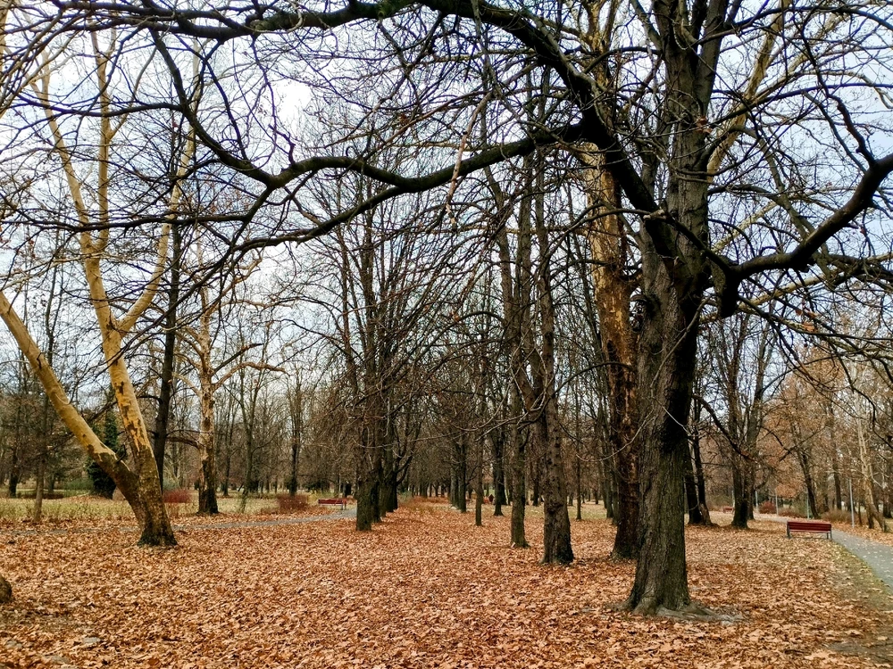 vanazúgy által feltöltött GIF