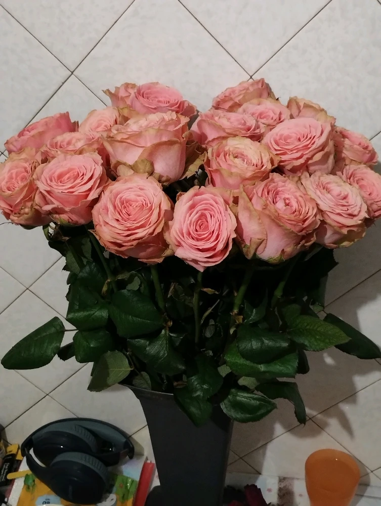 Гіфку завантажив Rina Boss