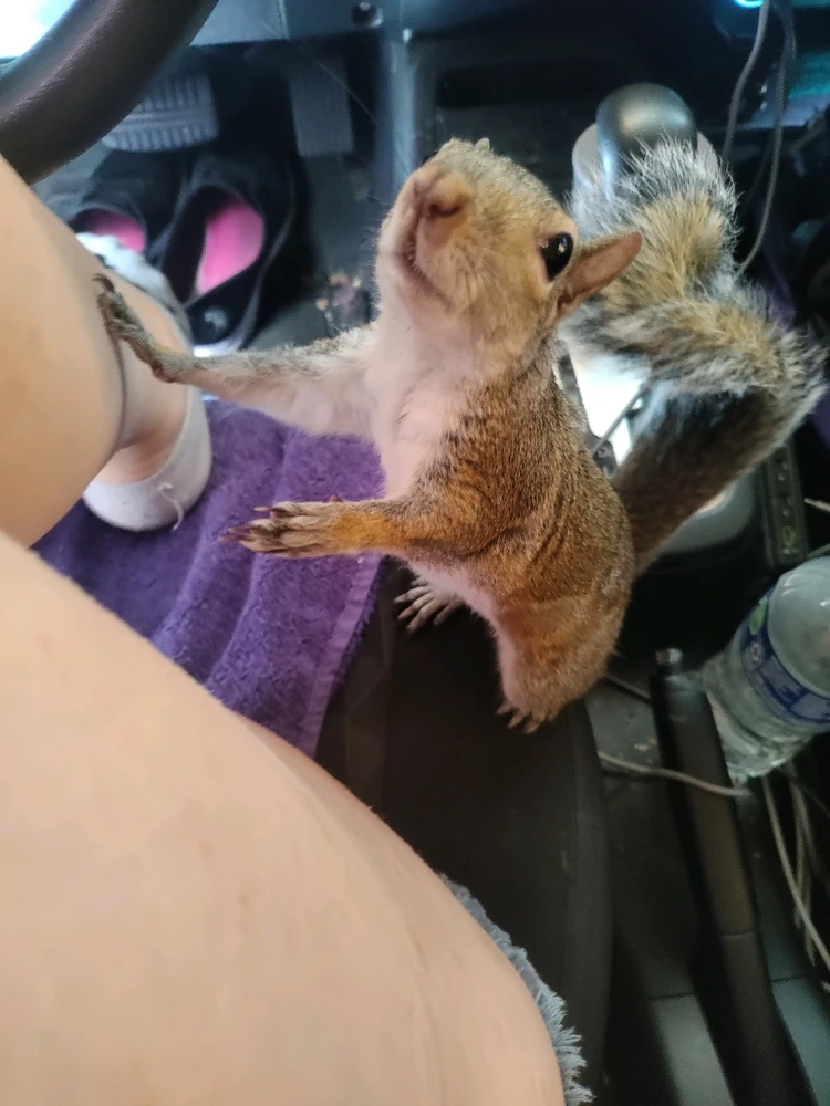 GIF uploaded by Kat Paro