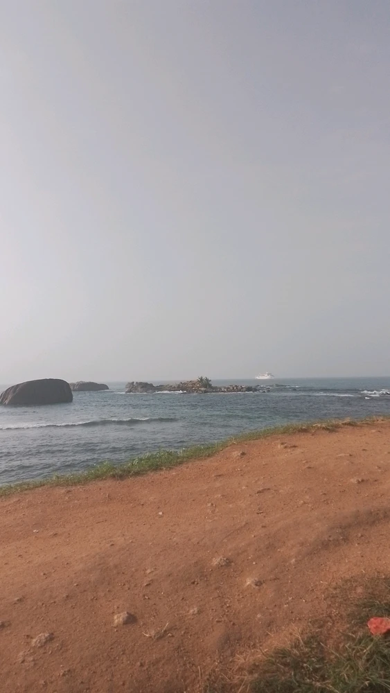 Image uploaded by Saranga De Costa