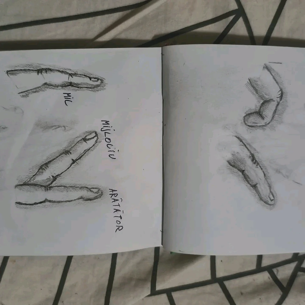 Imagine încărcată de Vlad