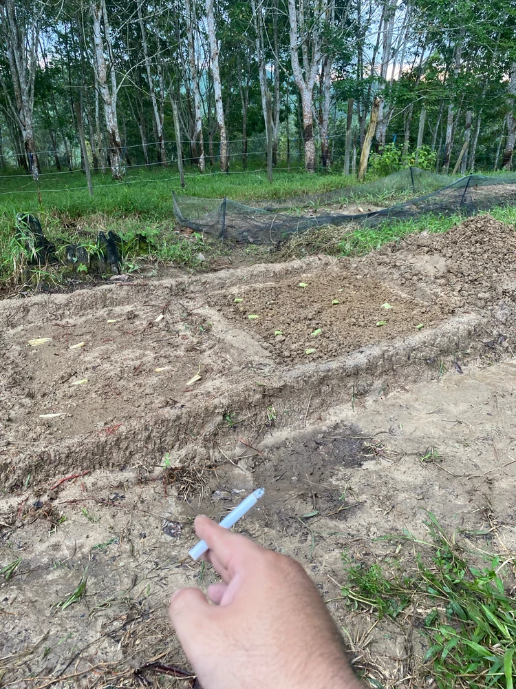 GIF diunggah oleh ALawwww