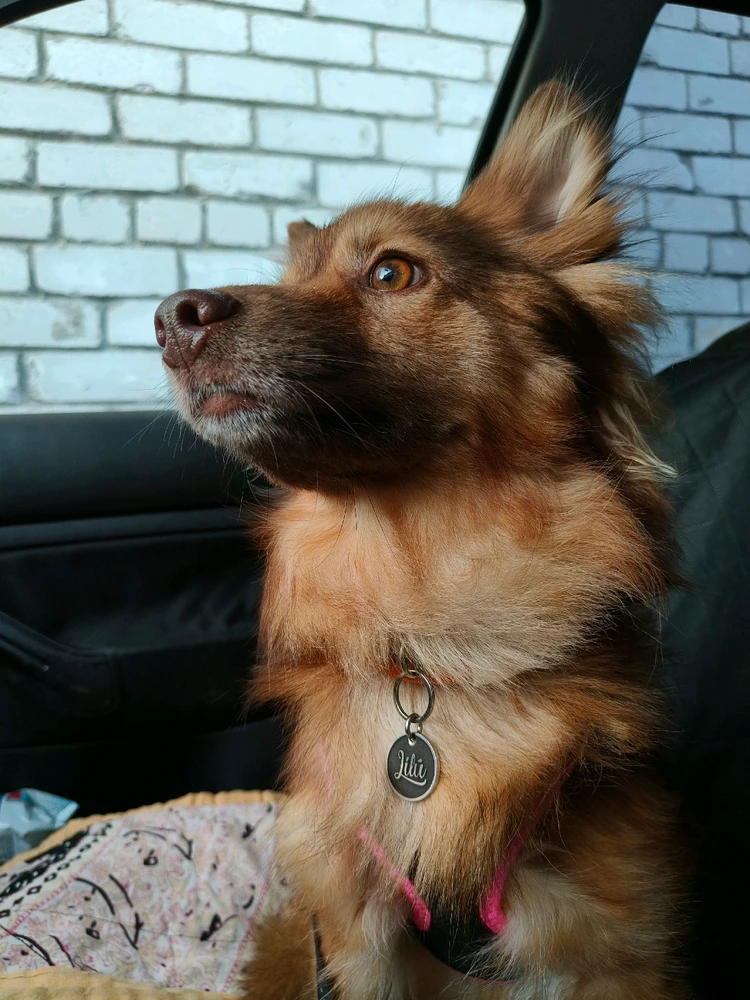 GIF üles laaditud kasutajalt Kaspars