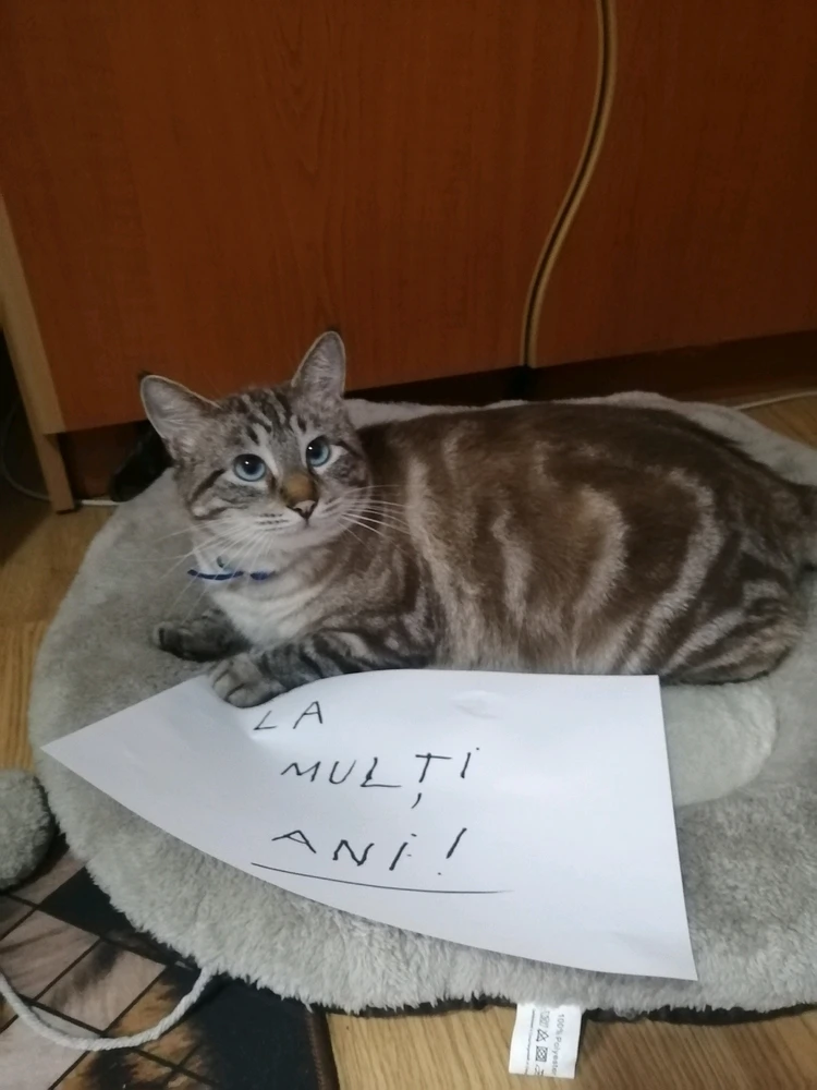 GIF încărcat de Mihai