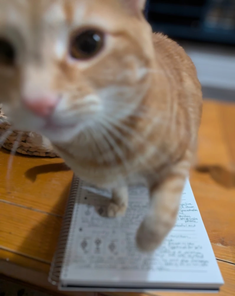 GIF uploaded by Melissa