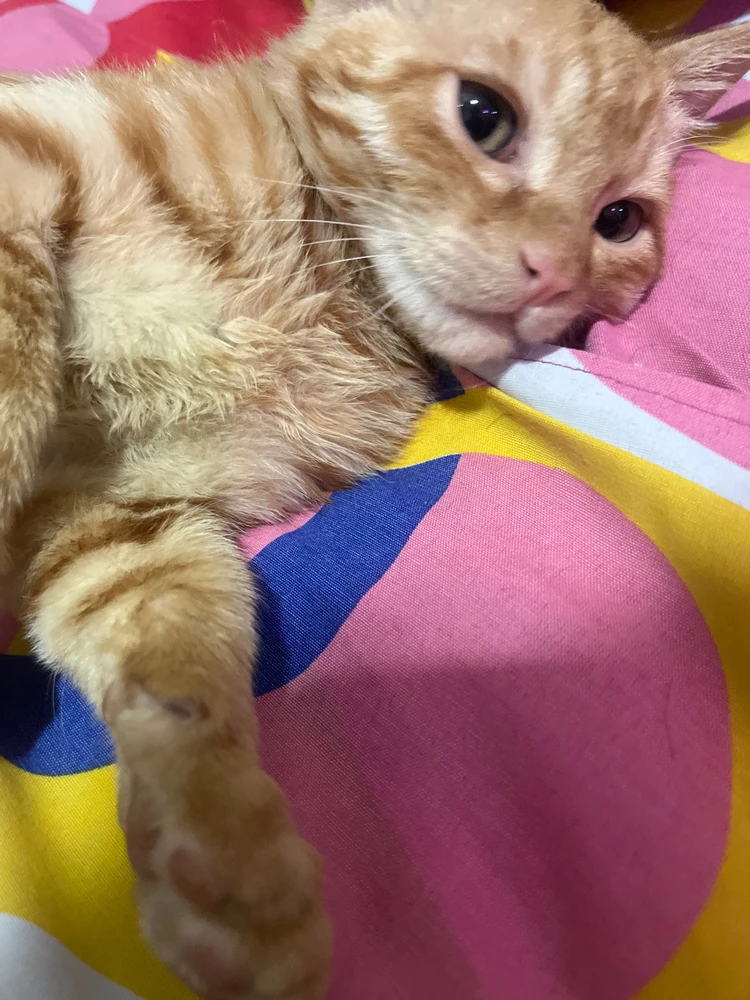 GIF آپلود شده توسط Milad