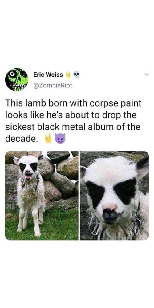 GIF uploaded by Astharea