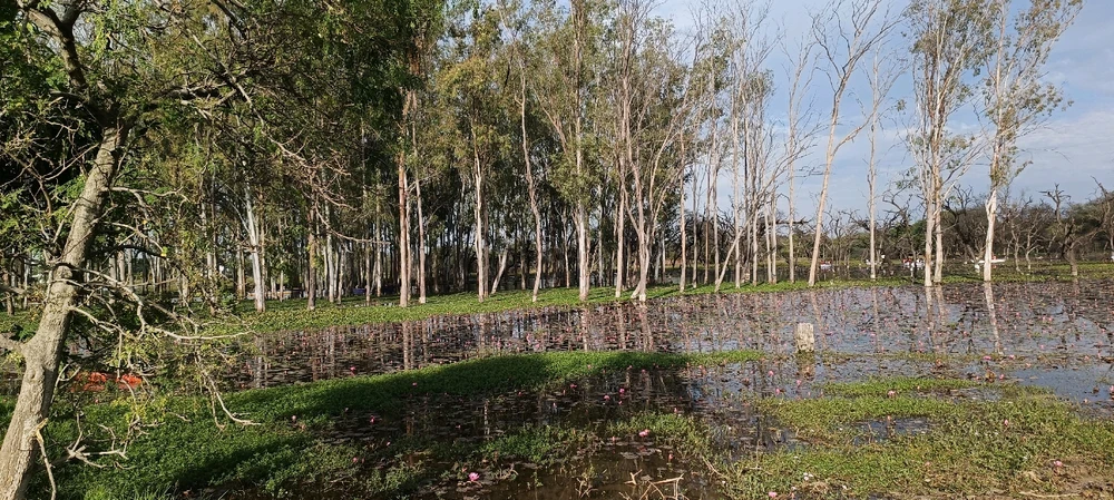 GIF gi-upload ni Tejasvin Kansal
