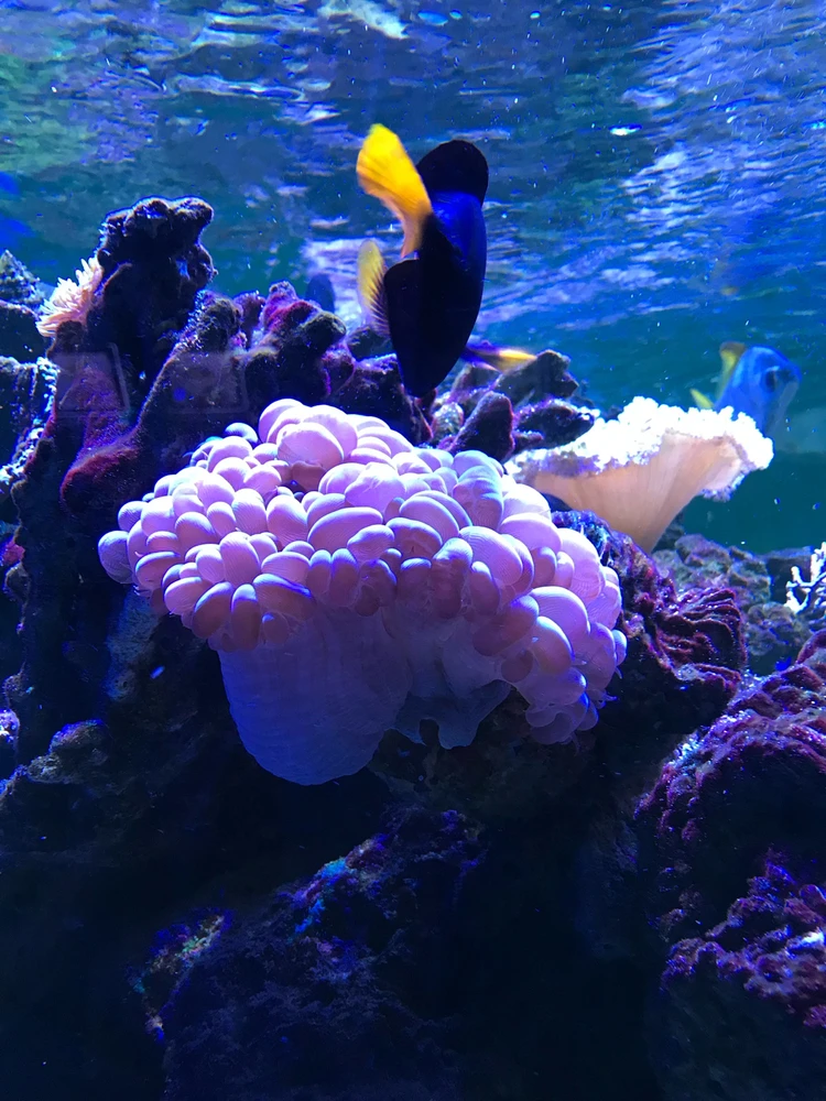 Image uploaded by NaDi