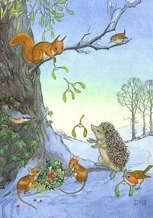 Image ajoutée par Valérie