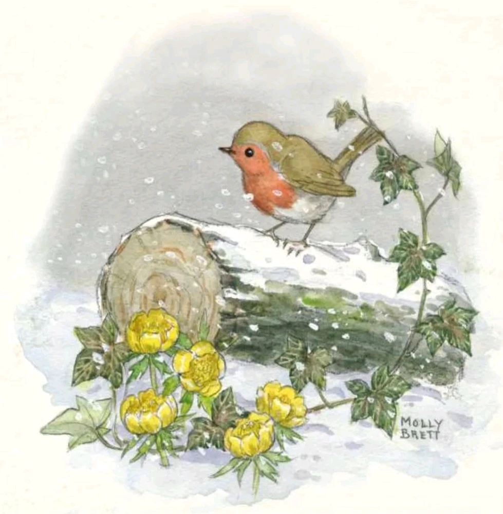 Image ajoutée par Valérie