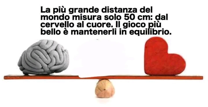 GIF caricata da LunaStorta