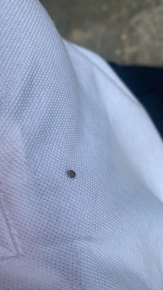 GIF enviado por Liana noire