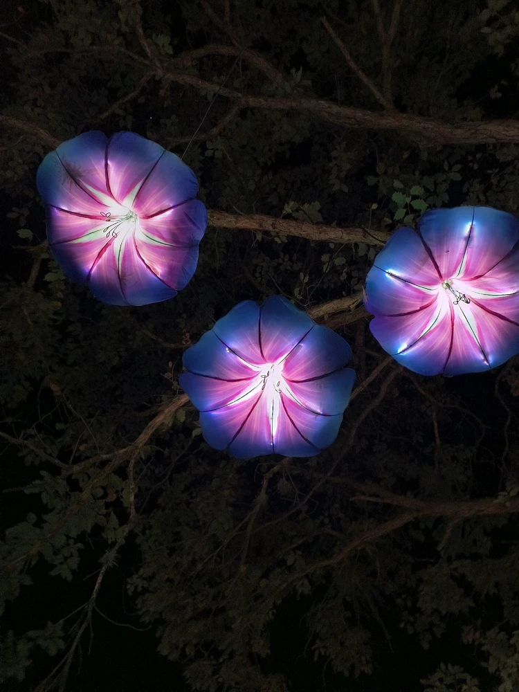 Image uploaded by Desiree